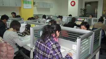 新易太和 北京新易太和教育咨詢有限公司的專業(yè)教育信息咨詢服務(wù)解析